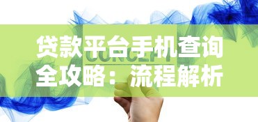 贷款平台手机查询全攻略：流程解析与注意事项