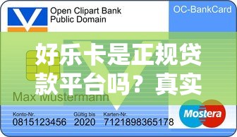 好乐卡是正规贷款平台吗？真实用户经验与资质解析