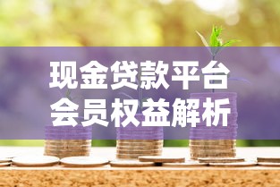 现金贷款平台会员权益解析与选择指南 现金贷款平台会员权益解析与选择指南