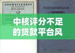 中核评分不足的贷款平台风险解析及避坑指南