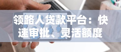 领路人贷款平台：快速审批、灵活额度的贷款服务解决方案