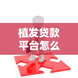 植发贷款平台怎么选？低息分期方案全解析