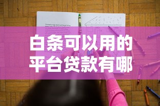 白条可以用的平台贷款有哪些？十大正规渠道推荐