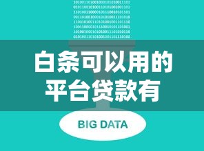 白条可以用的平台贷款有哪些？十大正规渠道推荐