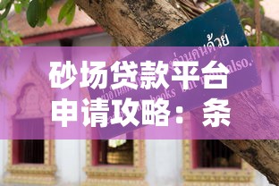 砂场贷款平台申请攻略：条件、流程与注意事项