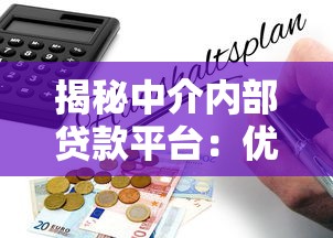 揭秘中介内部贷款平台：优势、风险与选择指南