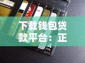 下载钱包贷款平台：正规借款渠道推荐及使用指南