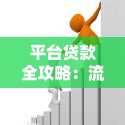 平台贷款全攻略：流程、注意事项及常见问题解析