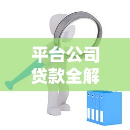 平台公司贷款全解析：优势、风险与申请指南