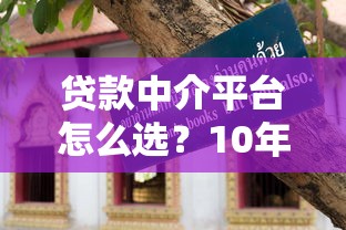 贷款中介平台怎么选？10年从业者教你避坑指南