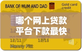 哪个网上贷款平台下款最快？2023年十大快速到账平台推荐