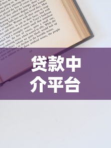 贷款中介平台申请指南：流程、优势与注意事项解析