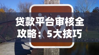 贷款平台审核全攻略：5大技巧助你轻松通过