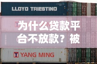 为什么贷款平台不放款？被拒原因与解决方法全解析