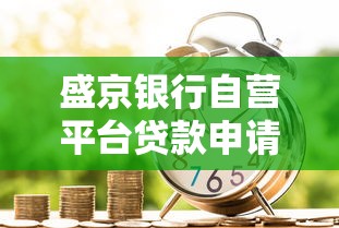 盛京银行自营平台贷款申请攻略：条件、流程及常见问题解析