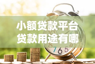 小额贷款平台贷款用途有哪些？这7大场景必须了解