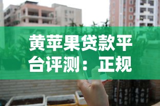 黄苹果贷款平台评测：正规贷款机构如何选择？