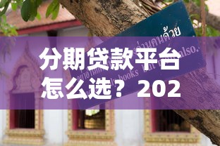 分期贷款平台怎么选？2023年避坑指南与实用建议