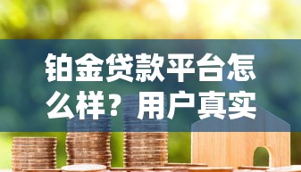 铂金贷款平台怎么样？用户真实评价与详细解析