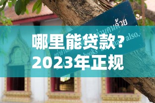 哪里能贷款？2023年正规平台推荐及避坑指南