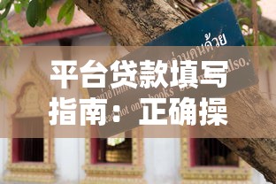 平台贷款填写指南：正确操作步骤与避坑技巧