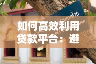 如何高效利用贷款平台：避坑指南与实用技巧