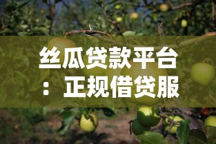 丝瓜贷款平台：正规借贷服务解析与使用指南