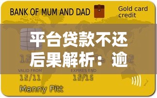 平台贷款不还后果解析：逾期术语与应对策略