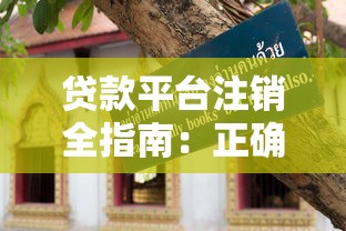 贷款平台注销全指南：正确操作步骤与避坑技巧