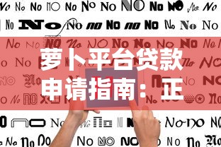 萝卜平台贷款申请指南：正规流程、注意事项与用户评价