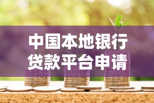 中国本地银行贷款平台申请指南：流程、条件与常见问题解析