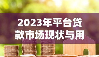 2023年平台贷款市场现状与用户选择指南