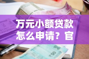 万元小额贷款怎么申请？官方低息平台全攻略