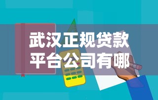 武汉正规贷款平台公司有哪些？10大靠谱机构推荐及避坑指南