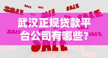 武汉正规贷款平台公司有哪些？10大靠谱机构推荐及避坑指南