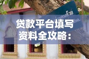 贷款平台填写资料全攻略：避坑指南与注意事项