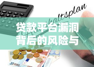 贷款平台漏洞背后的风险与防范指南