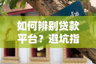 如何辨别贷款平台？避坑指南+实用筛选技巧