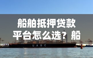 船舶抵押贷款平台怎么选？船主必看的融资指南