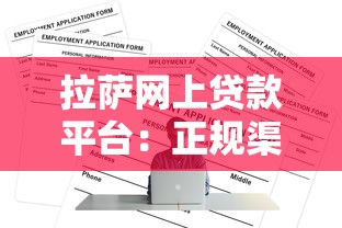 拉萨网上贷款平台：正规渠道与申请攻略