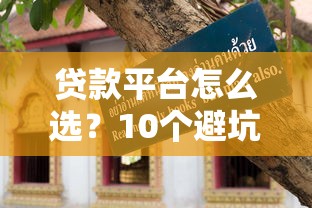 贷款平台怎么选？10个避坑指南教你安全借钱