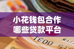 小花钱包合作哪些贷款平台？正规渠道及申请流程解析