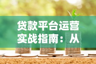 贷款平台运营实战指南：从0到1搭建盈利体系