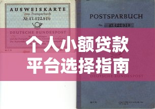 个人小额贷款平台选择指南及避坑技巧 个人小额贷款平台选择指南及避坑技巧