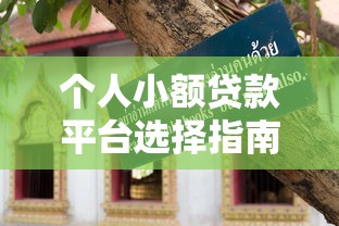 个人小额贷款平台选择指南及避坑技巧 个人小额贷款平台选择指南及避坑技巧