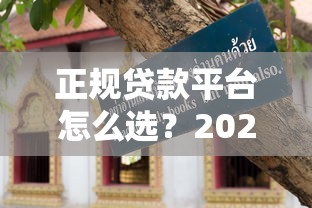 正规贷款平台怎么选?2023年最全避坑指南 正规贷款平台怎么选?2023年最全避坑指南