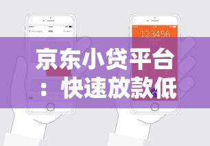 京东小贷平台：快速放款低息贷款申请指南