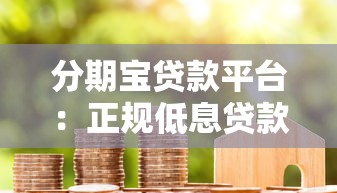 分期宝贷款平台：正规低息贷款如何快速申请？