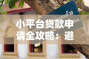 小平台贷款申请全攻略：避坑指南与实用技巧