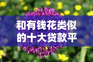 和有钱花类似的十大贷款平台推荐  靠谱低息平台对比